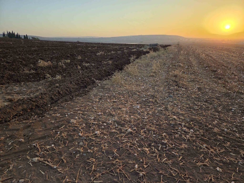 שדה חרוש למחצה