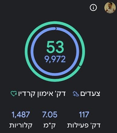 פירוט הפעילות הגופנית שלי ביום
